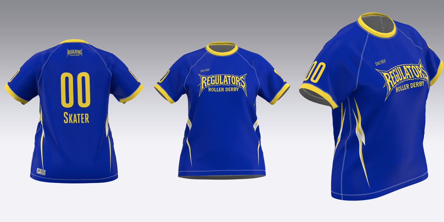 SOUTH TEXAS REGULATORS