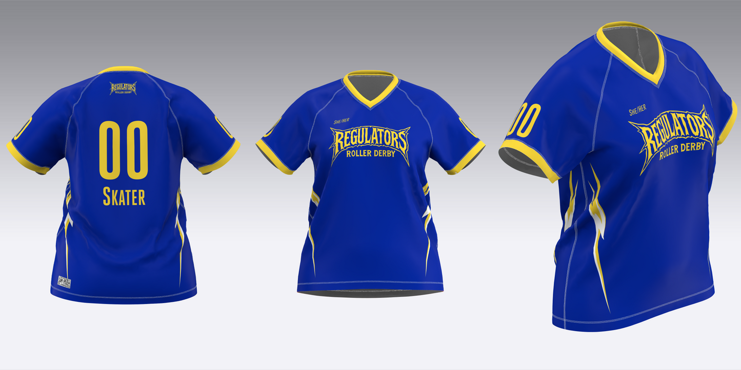 SOUTH TEXAS REGULATORS